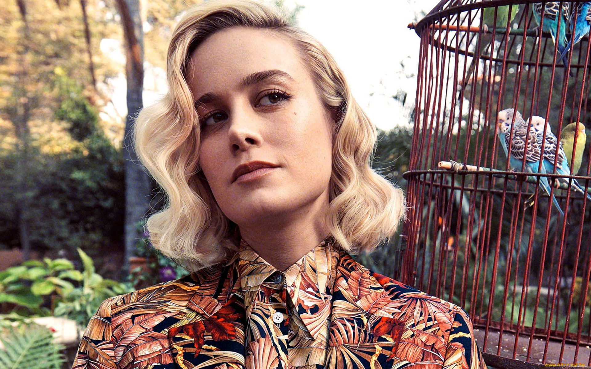 , brie larson, 